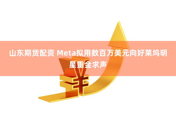 山东期货配资 Meta拟用数百万美元向好莱坞明星重金求声