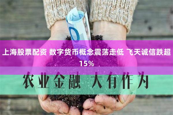 上海股票配资 数字货币概念震荡走低 飞天诚信跌超15%