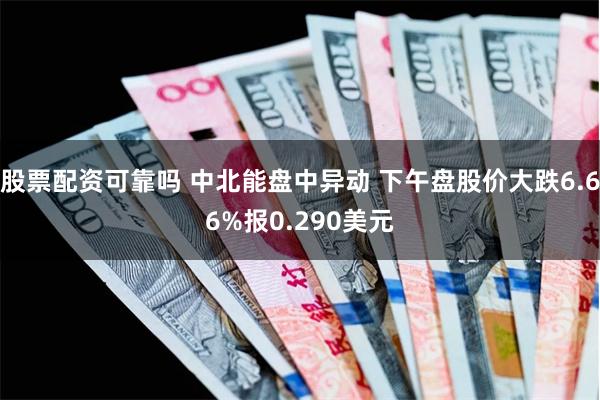 股票配资可靠吗 中北能盘中异动 下午盘股价大跌6.66%报0.290美元