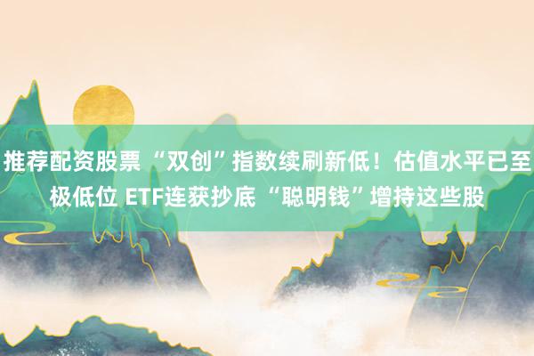 推荐配资股票 “双创”指数续刷新低！估值水平已至极低位 ETF连获抄底 “聪明钱”增持这些股