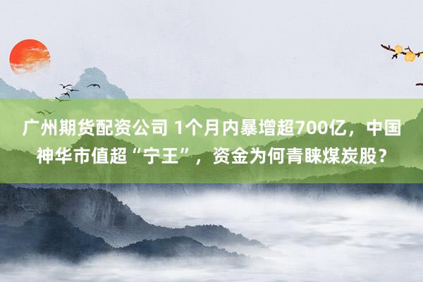 广州期货配资公司 1个月内暴增超700亿，中国神华市值超“宁王”，资金为何青睐煤炭股？