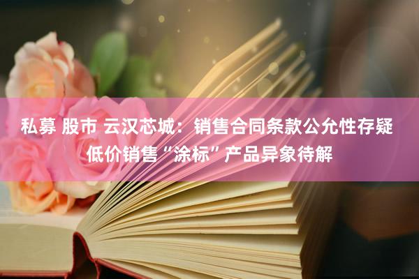 私募 股市 云汉芯城：销售合同条款公允性存疑 低价销售“涂标”产品异象待解